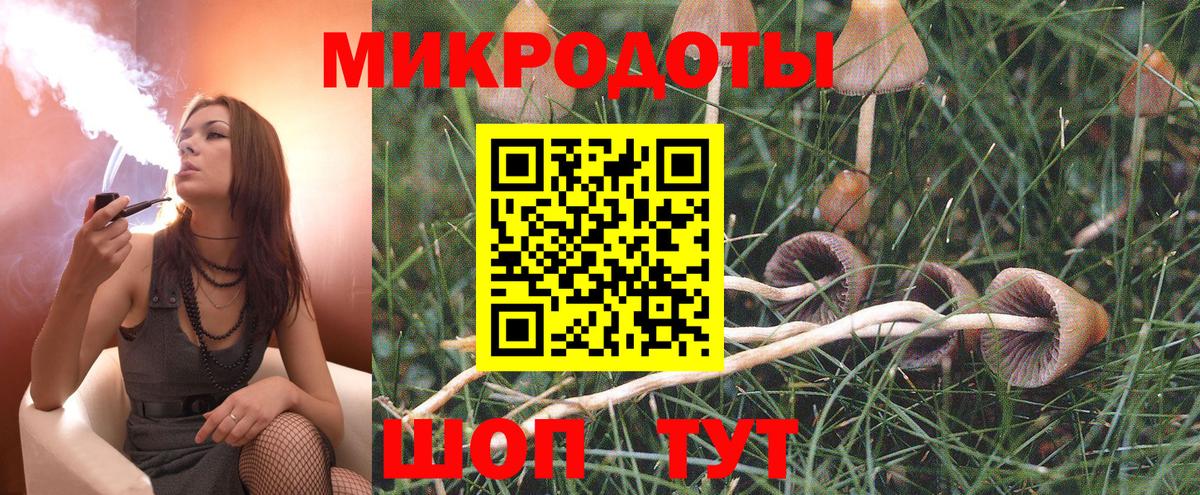Псилоцибиновые грибы Cubensis  как найти закладки  Назрань  Вход с VPN 