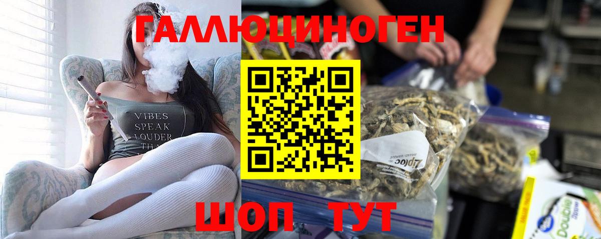 Псилоцибиновые грибы Cubensis Назрань